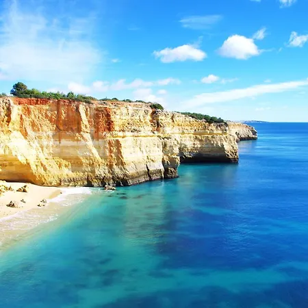 Homes Da Rocha Sun-kissed 50 M Away From The Ocean Apartment *